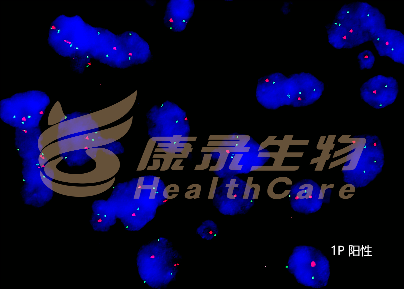 中国·拉斯维加斯(3499·官方认证)网站-Officialwebsite